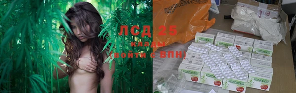 ПСИЛОЦИБИНОВЫЕ ГРИБЫ Заволжье