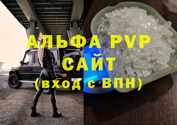 ПСИЛОЦИБИНОВЫЕ ГРИБЫ Заволжье