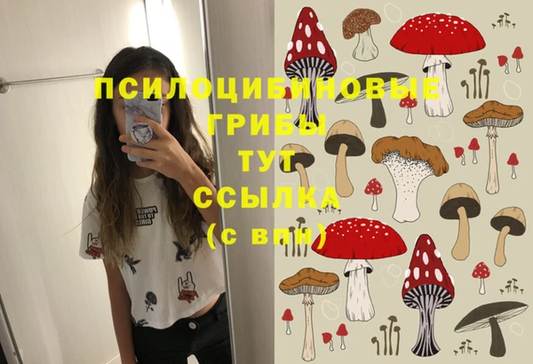 ПСИЛОЦИБИНОВЫЕ ГРИБЫ Заволжье