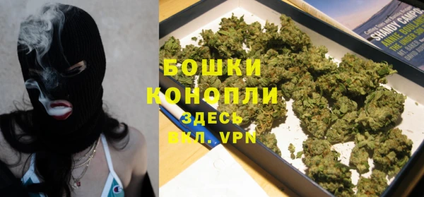 ПСИЛОЦИБИНОВЫЕ ГРИБЫ Заволжье