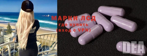 ПСИЛОЦИБИНОВЫЕ ГРИБЫ Заволжье