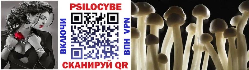 Галлюциногенные грибы прущие грибы  Купить закладки  Нолинск 